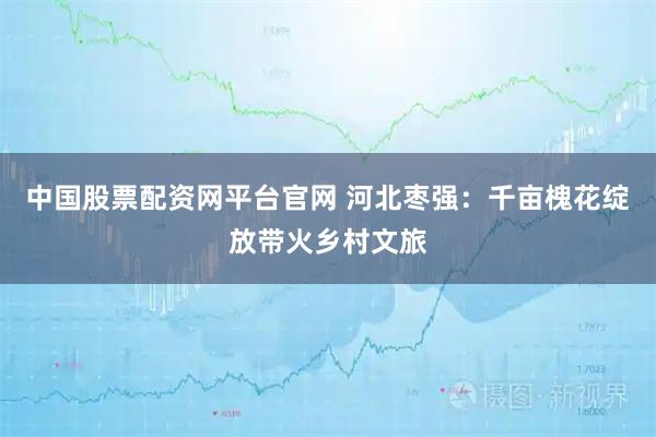 中国股票配资网平台官网 河北枣强：千亩槐花绽放带火乡村文旅